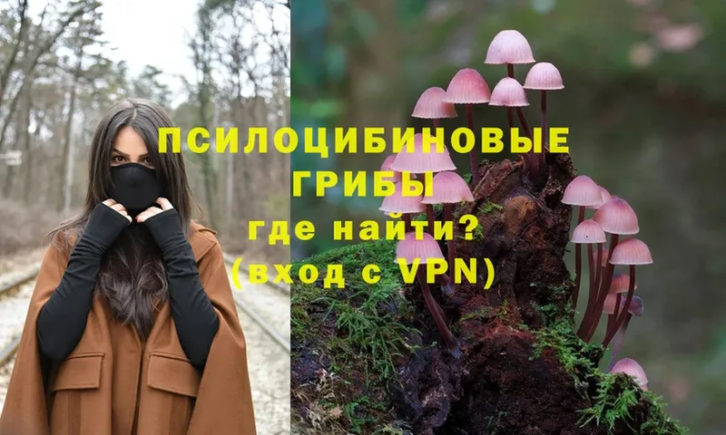 Галлюциногенные грибы Magic Shrooms  Аргун 